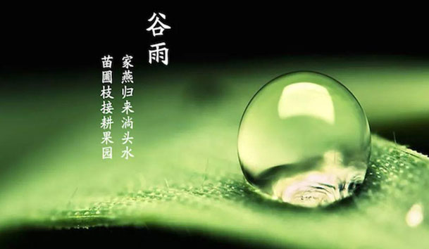 今日谷雨 | 谷得雨而生，夏天要醒了！(圖1)
